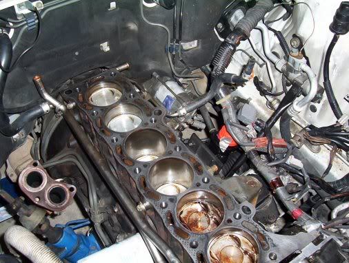 http://img.photobucket.com/albums/v606/Asmodai/blockclean2.jpg