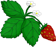 strawberrysymbolfairyberry.png