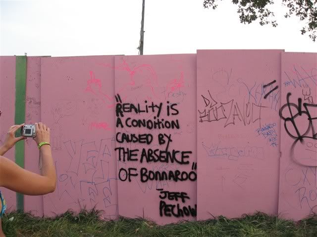 Bonnaroo Graffiti