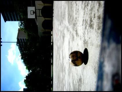 Photo Sharing and Video Hosting at Photobucket