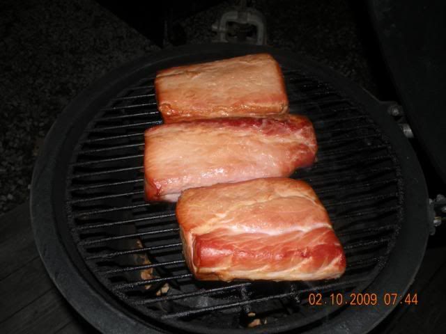 cbacon1003.jpg
