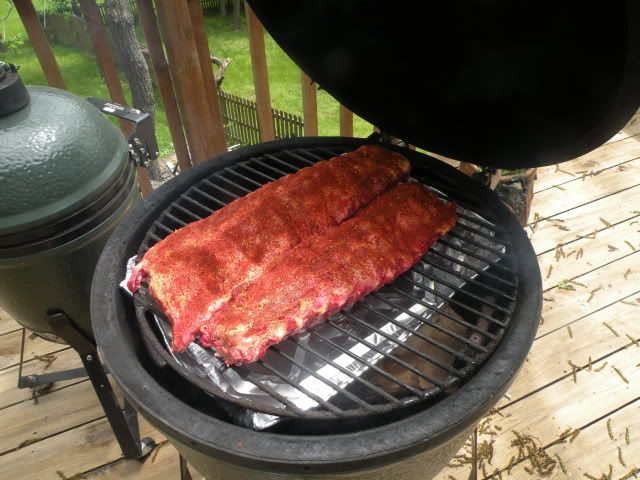 ribs514002.jpg