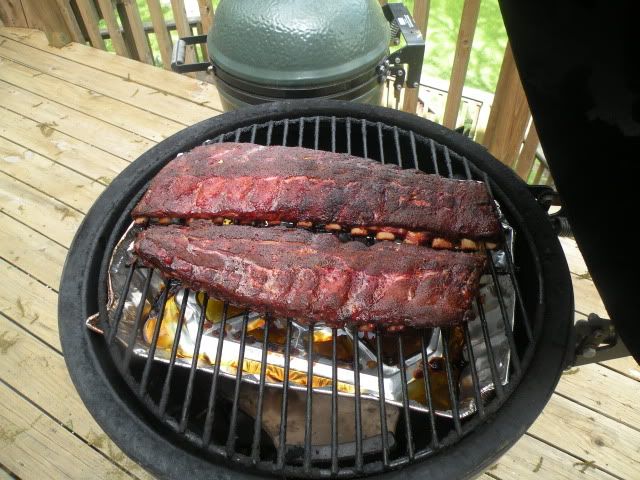 ribs514003.jpg