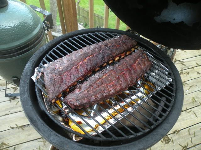 ribs514004.jpg