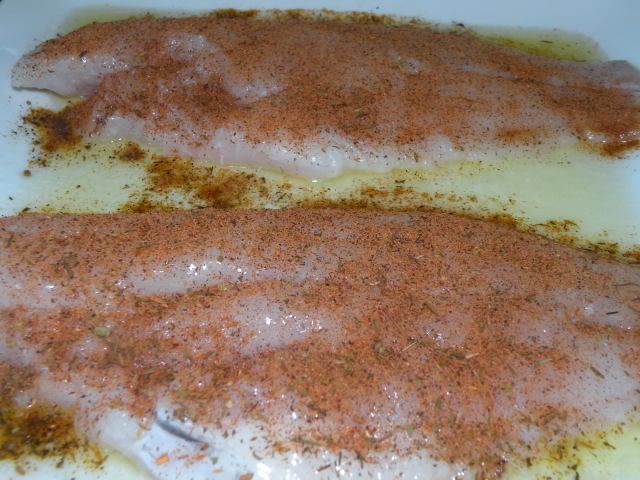 catfish007.jpg
