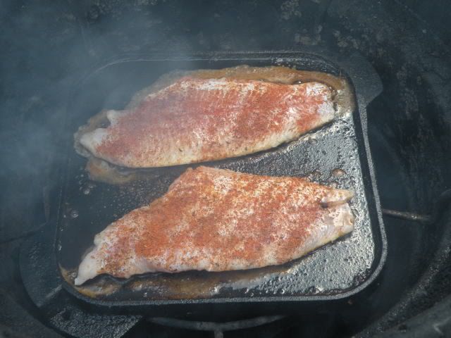 catfish008.jpg