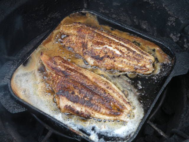 catfish010.jpg