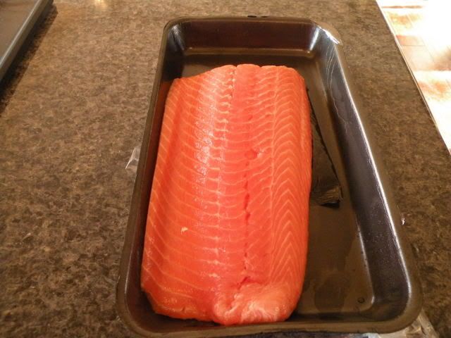 salmon001.jpg