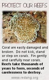 Protect the reefs!