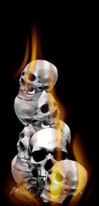 Skulls