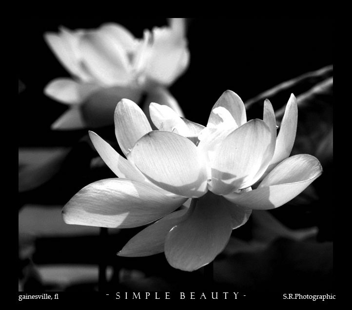 IMAGE: http://img.photobucket.com/albums/v607/Racaryu/Photoshopping/maggietwo.jpg