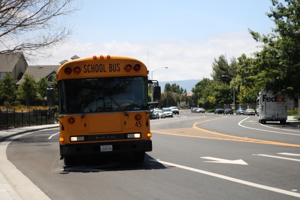 IMAGE: http://img.photobucket.com/albums/v607/badd666/IMG_6792.jpg