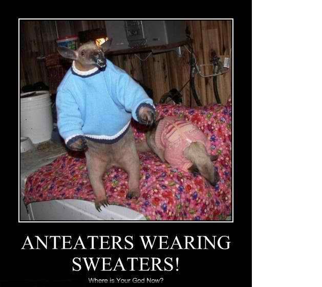 Anteaters Wearing Sweaters
