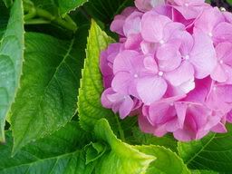 Image hosting by Photobucket
