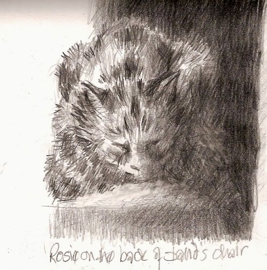 http://img.photobucket.com/albums/v607/vivien/rosesulkingonthebackofthechair.jpg