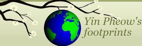 Yin's Footprints