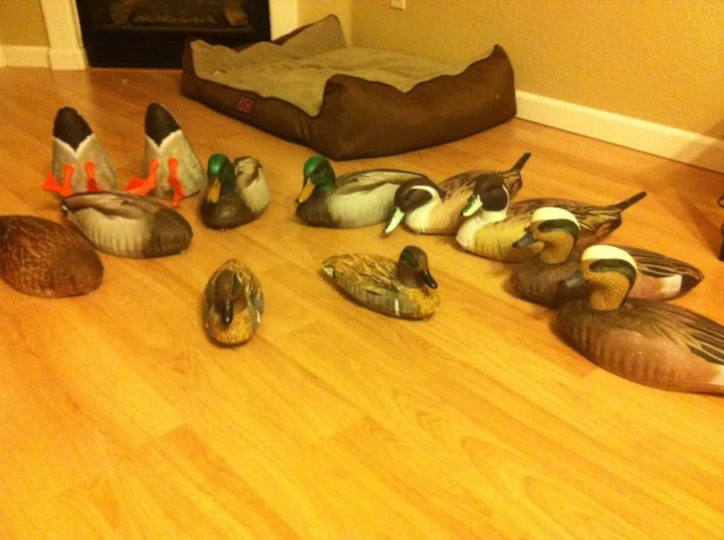 Cherokee Sports Inflatable Decoys Duck Hunting Forum