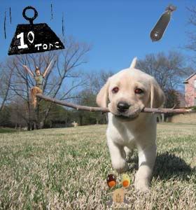 Image hosting by Photobucket