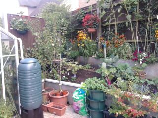 phone078_zps958b9d05.jpg