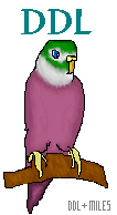 finbird2.png