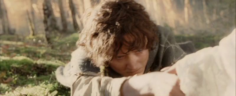 Frodo has fallen