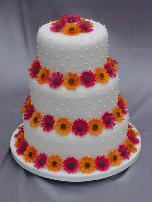 Pink and orange wedding cake designs