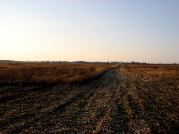 IMG_2199.jpg