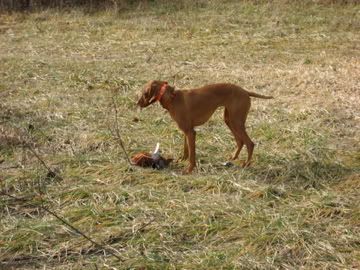 IMG_2205.jpg