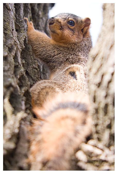 IMAGE: http://img.photobucket.com/albums/v608/tsaraleksi/_MG_2048.jpg