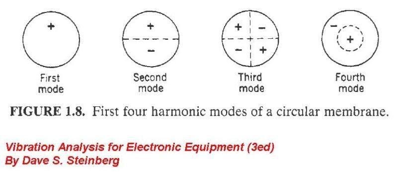 circularmembrane.jpg