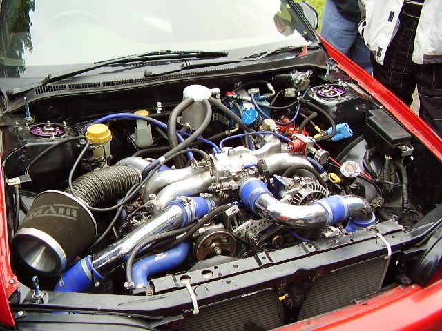 P8130006.jpg