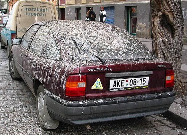 parking.jpg
