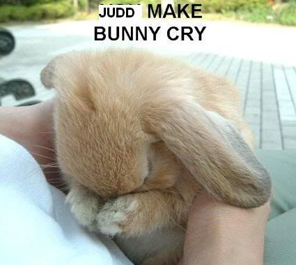 you-make-bunny-cry.jpg