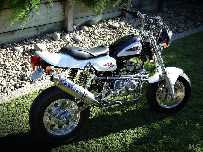 F/S NSR50 Mikuni Front Fender Monkey bike +++ Forums