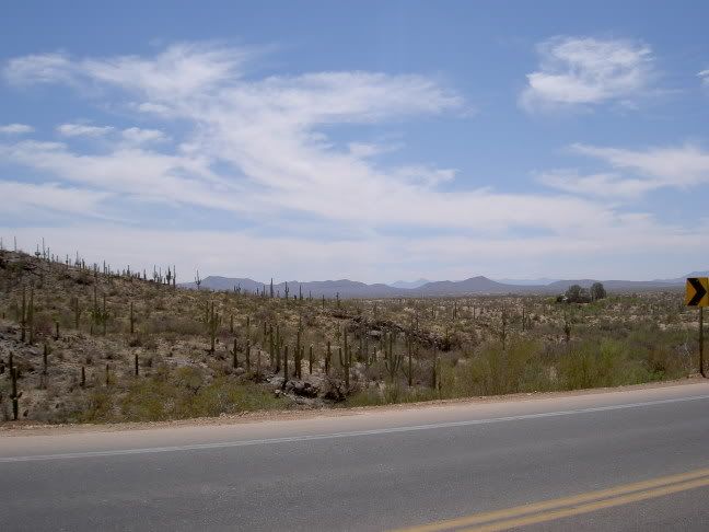 http://img.photobucket.com/albums/v609/mtuck/PICT1863.jpg
