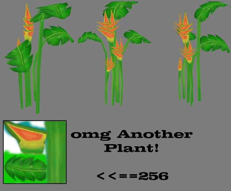 omganoerplant.jpg