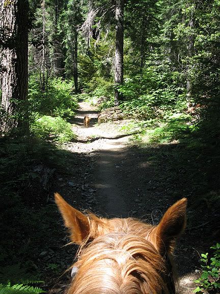 Canyon Creek trail