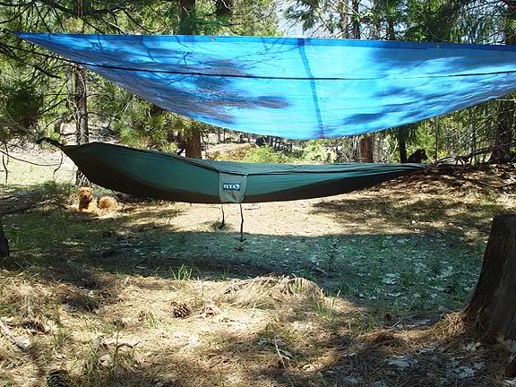 ENO hammock