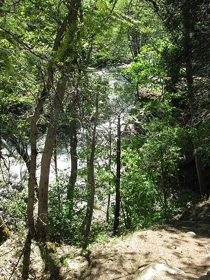 Shackleford Falls