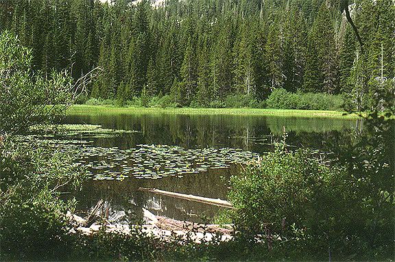 lakes,wilderness area