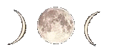 moontrans.gif