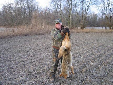 Coyote42004001.jpg
