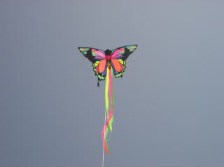 kite4