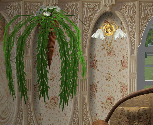 saloon6.gif