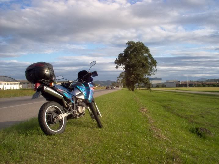 [Imagem: gramado.jpg]