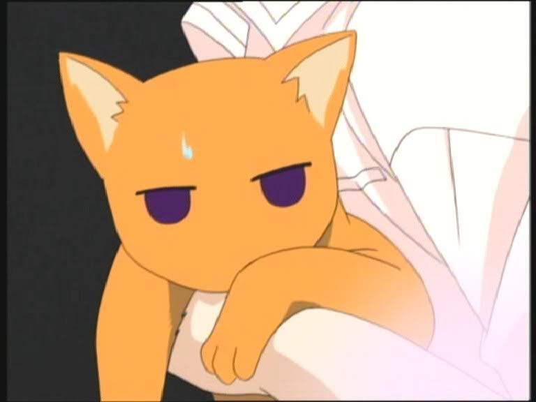 kyo with cat pop