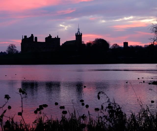 IMAGE: http://img.photobucket.com/albums/v610/saggy9999/IMG_1335.jpg