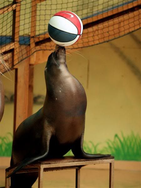 IMAGE: http://img.photobucket.com/albums/v610/saggy9999/IMG_8909Medium.jpg