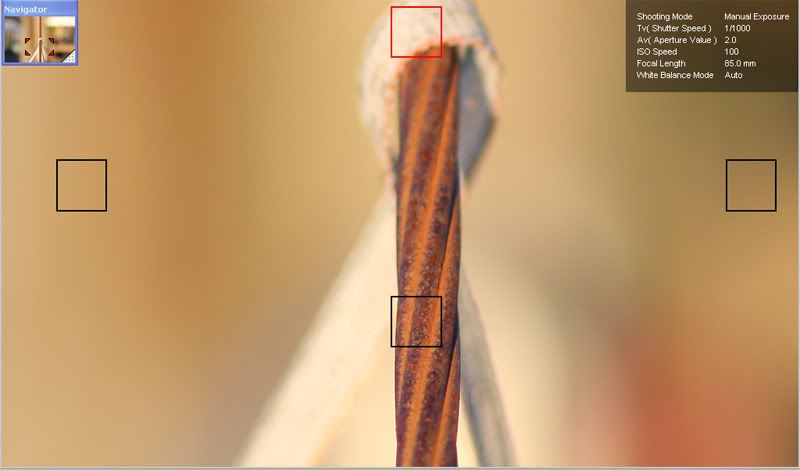 IMAGE: http://img.photobucket.com/albums/v610/wax_monkee75/Landscapeview.jpg