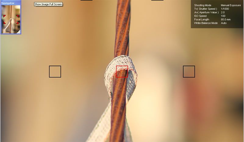 IMAGE: http://img.photobucket.com/albums/v610/wax_monkee75/portraitview.jpg